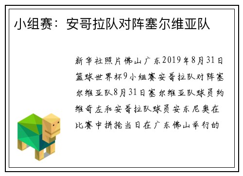 小组赛：安哥拉队对阵塞尔维亚队
